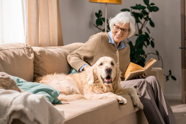 Eine ältere Frau sitzt auf einem beigen Sofa und liest ein Buch, während ihr golden retriever Hund entspannt neben ihr liegt. Die Szene strahlt eine warme, häusliche Atmosphäre aus, die die Bedeutung von häuslicher Pflege und companionship unterstreicht