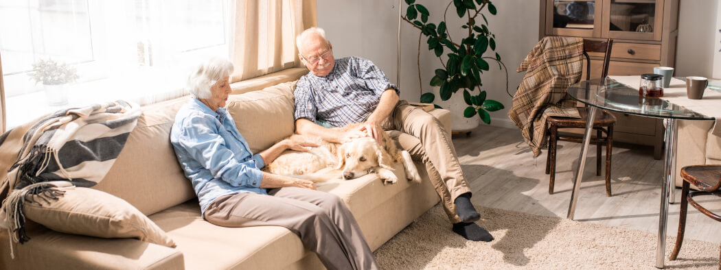 Ein älteres Paar sitzt auf einem beigen Sofa in einem hellen Wohnzimmer und streichelt ihren golden Retriever. Die Frau in blauer Bluse und der Mann im karierten Hemd genießen eine gemütliche, pflegerische Atmosphäre, umgeben von Pflanzen und Möbeln